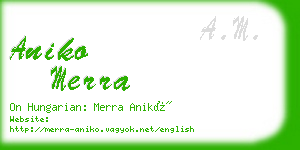 aniko merra business card